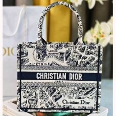 Christian Dior Shopping Bags